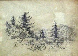 On Rim Road, Mt. Wilson by John William Theiss