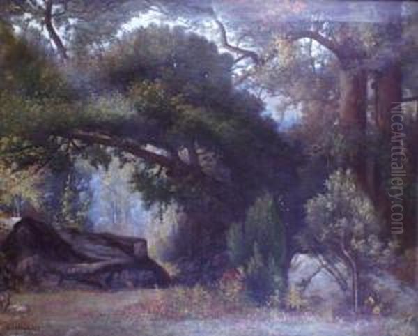 Charbonnier En Foret De Fontainebleau - view 1