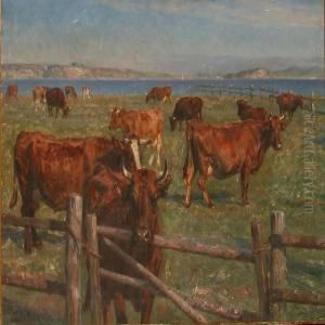 Grazing Cows Near A Coast by Michael Therkildsen