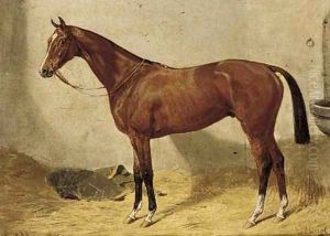 Missal, a chestnut hunter in a stable by Emil Adam
