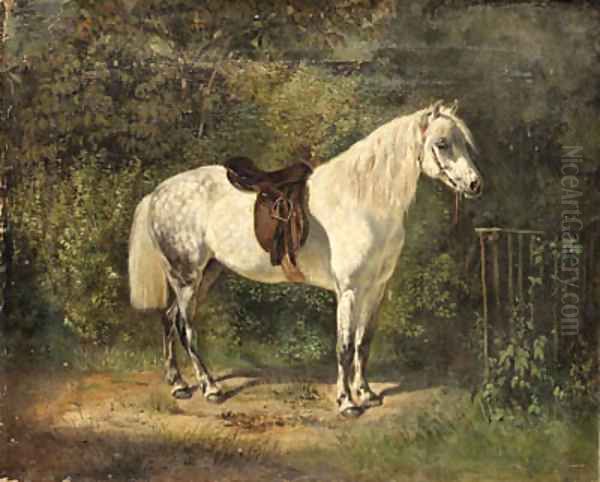 A Dappled Grey Pony - view 1