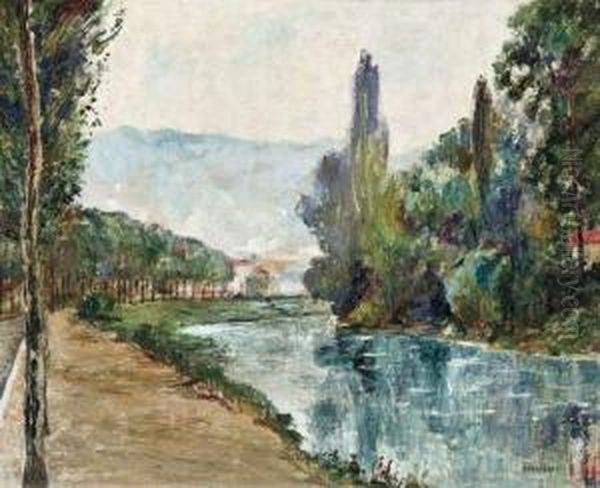 La Meuse A Anseremme - view 1