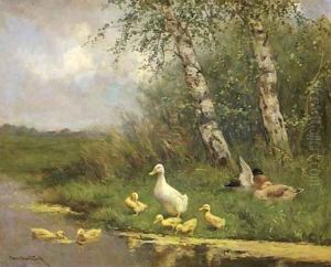 Ducks by a river