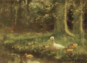 Duck and ducklings on a riverbank