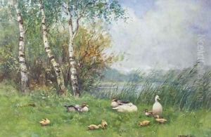 Ducks and ducklings on a river bank