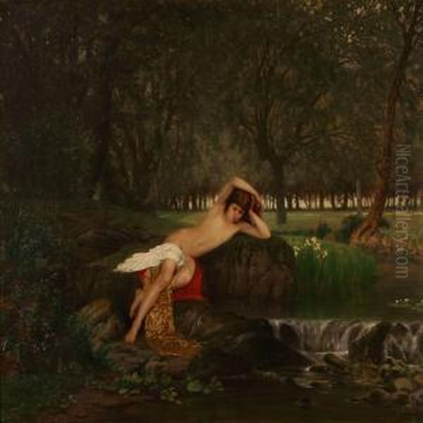 "narcissus" - view 1