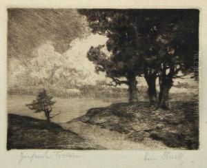 Baume Unter Wolkenhimmel by Hermann Thiele
