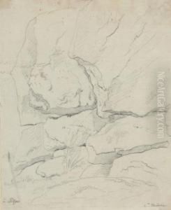 Etudes De Rochers A Clisson/etude D'arbres A Clisson by Claude I Thienon