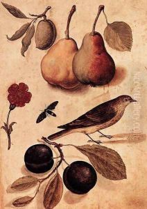 Specimens of Nature by Ulisse Aldrovandi