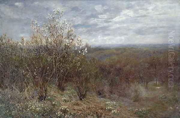 Spring in the Valley - view 1