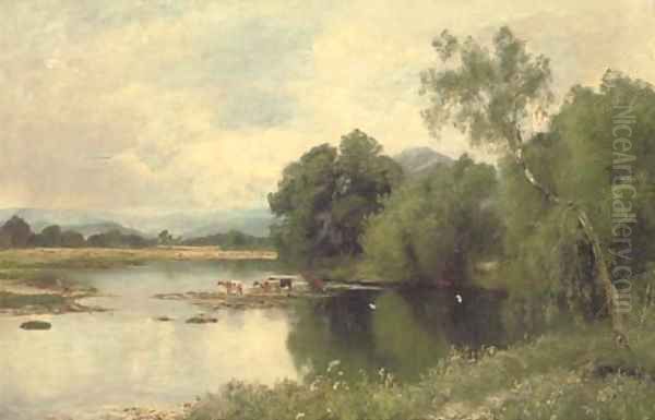 Cattle watering by a tranquil river - view 1