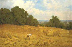 Harvesting, Surrey by John Clayton Adams
