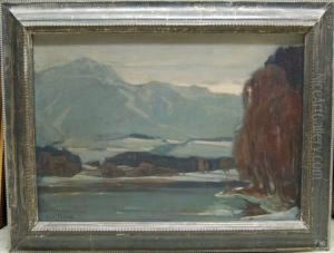 "fernblick Uber Den Tinninger See" by Emil Thoma