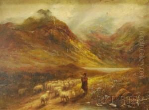 Shepherd Leading His Flock Through The Pass