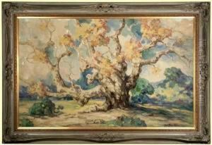 An Old Sycamore In The Grounds Of The Outpost by Alice Blair Thomas