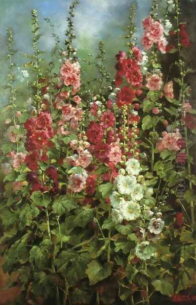 Hollyhocks - view 1