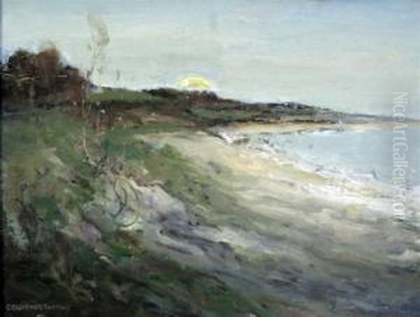 Coastal Landscape - view 1
