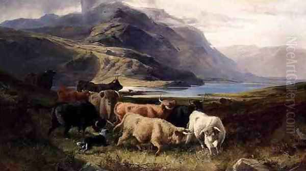 Highland Cattle with a Collie - view 1