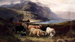 Highland Cattle with a Collie by Joseph Adam