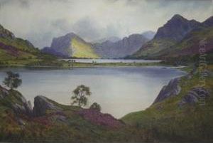 Scene In The Lake District