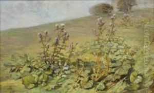 Study Of Thistles by Isa Thompson