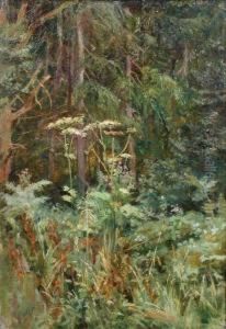 Woodland Scene With Cow Parsley Woodland Scene With Cow Parsley