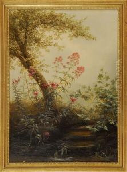 Forest Stream With Flowering Foliage - view 1
