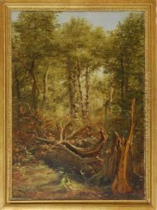 Forest Interior With Fallen Tree by Jerome B. Thompson