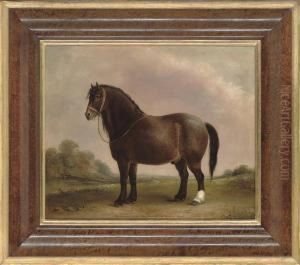 'bowler' In A Landscape