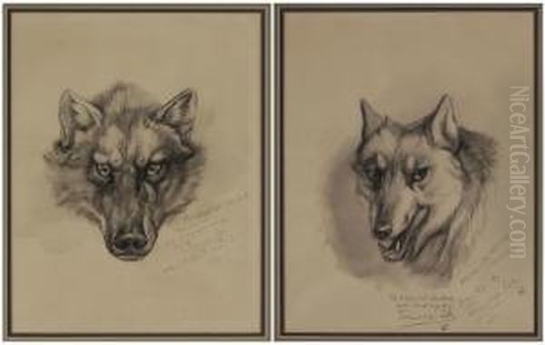 Two Wolf Portraits - view 1