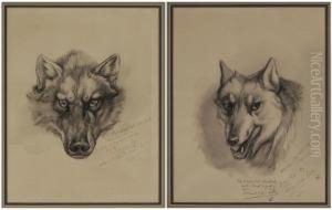 Two Wolf Portraits by Earnest Thompson Seton