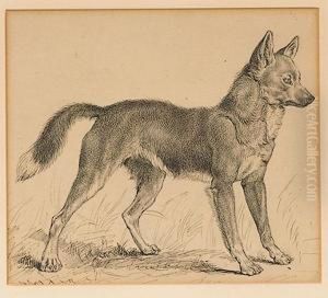 Portrait Of A Fox by Earnest Thompson Seton