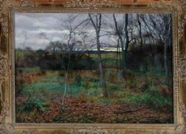 Autumn Trees - November - view 1