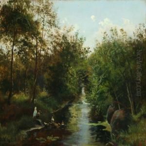 Forest With Ducks At Alake