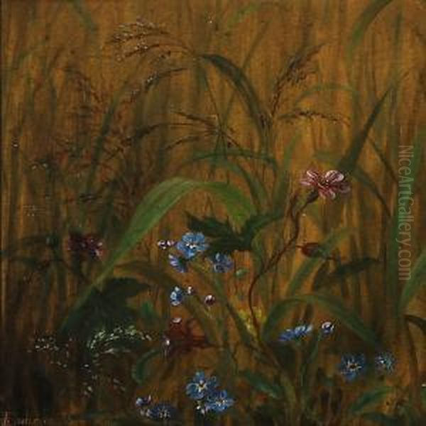 Meadow Flowers - view 1
