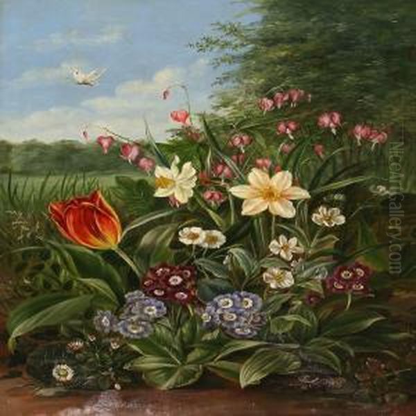 Tulips - view 1