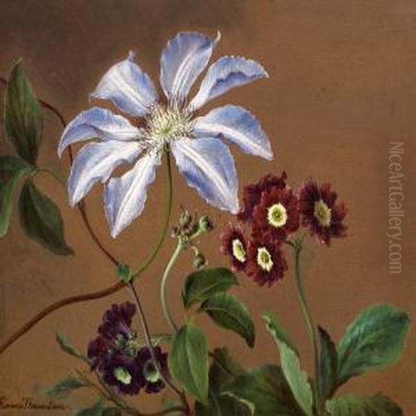Clematis And Primroses - view 1