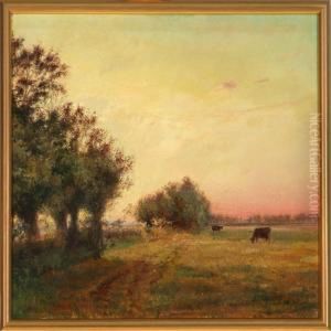 Evening Atmosphere With Cows On A Field At Vennerslund Manor On Falster Evening Atmosphere With Cows On A Field At Vennerslund Manor On Falster