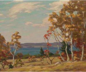 Birches by George Thomson