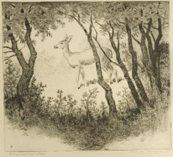 Startled Doe - view 1