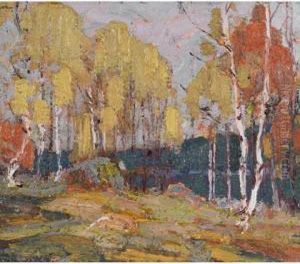 Fall Woods, Algonquin Park