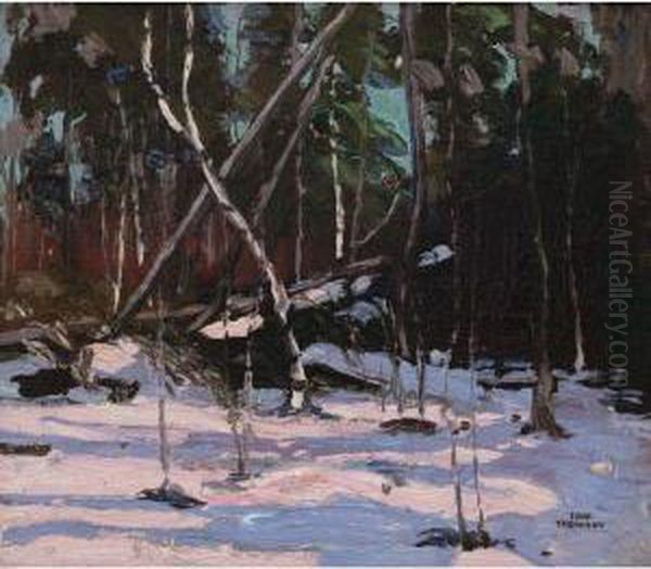 Early Snow, Algonquin Park - view 1