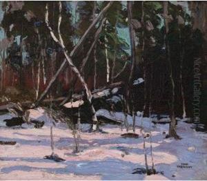 Early Snow, Algonquin Park