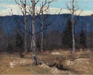 Hillside On Big Cauchon Lake - Algonquin Park by Tom Thomson