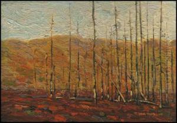 Autumn, Algonquin Park - view 1