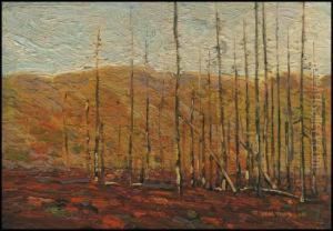 Autumn, Algonquin Park