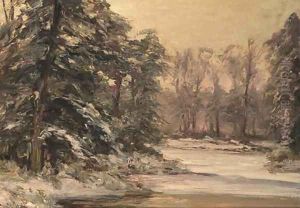 A winter forest