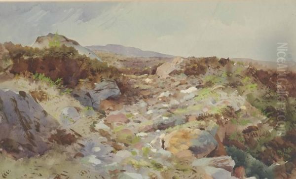 Landscape At Inverness - view 1