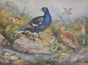 Game Birds And A Foal On The Banks Of A Stream by Archibald Thorburn