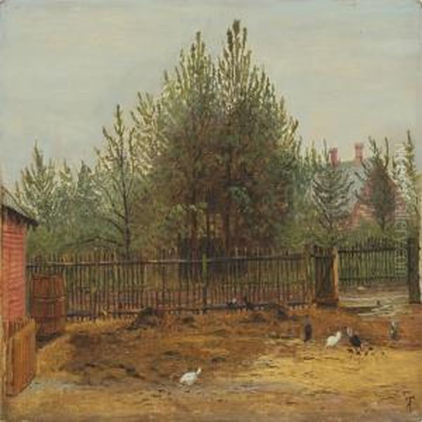 Yard With Hens - view 1